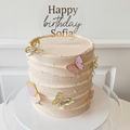Textured Butterfly Cake